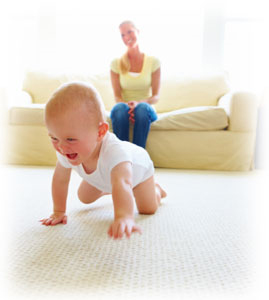Carpet Cleaning Mill Valley, CA