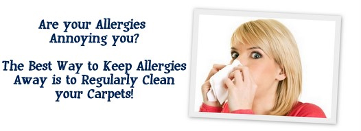 Carpet Cleaning Mill Valley, CA