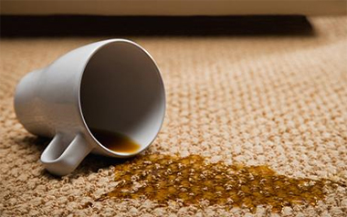 Carpet Cleaning Mill Valley, CA