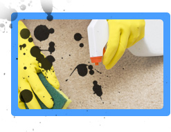 Carpet Cleaning Mill Valley, CA
