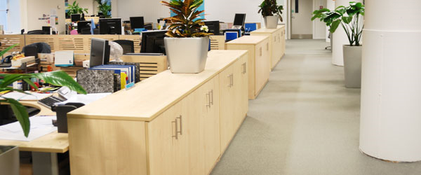 Commercial Carpet Cleaning Mill Valley, CA