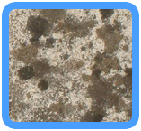 Mill Valley, CA Water Damage Restoration